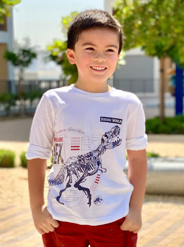 featured artist preview