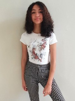 featured artist preview